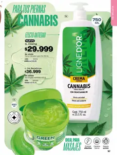 Carmel - Carmel C05 2026 -  Vista previa de la revista de la tienda Carmel valido desde el 01.05.2026 | Página: 171 | Productos: Crema, Gel corporal