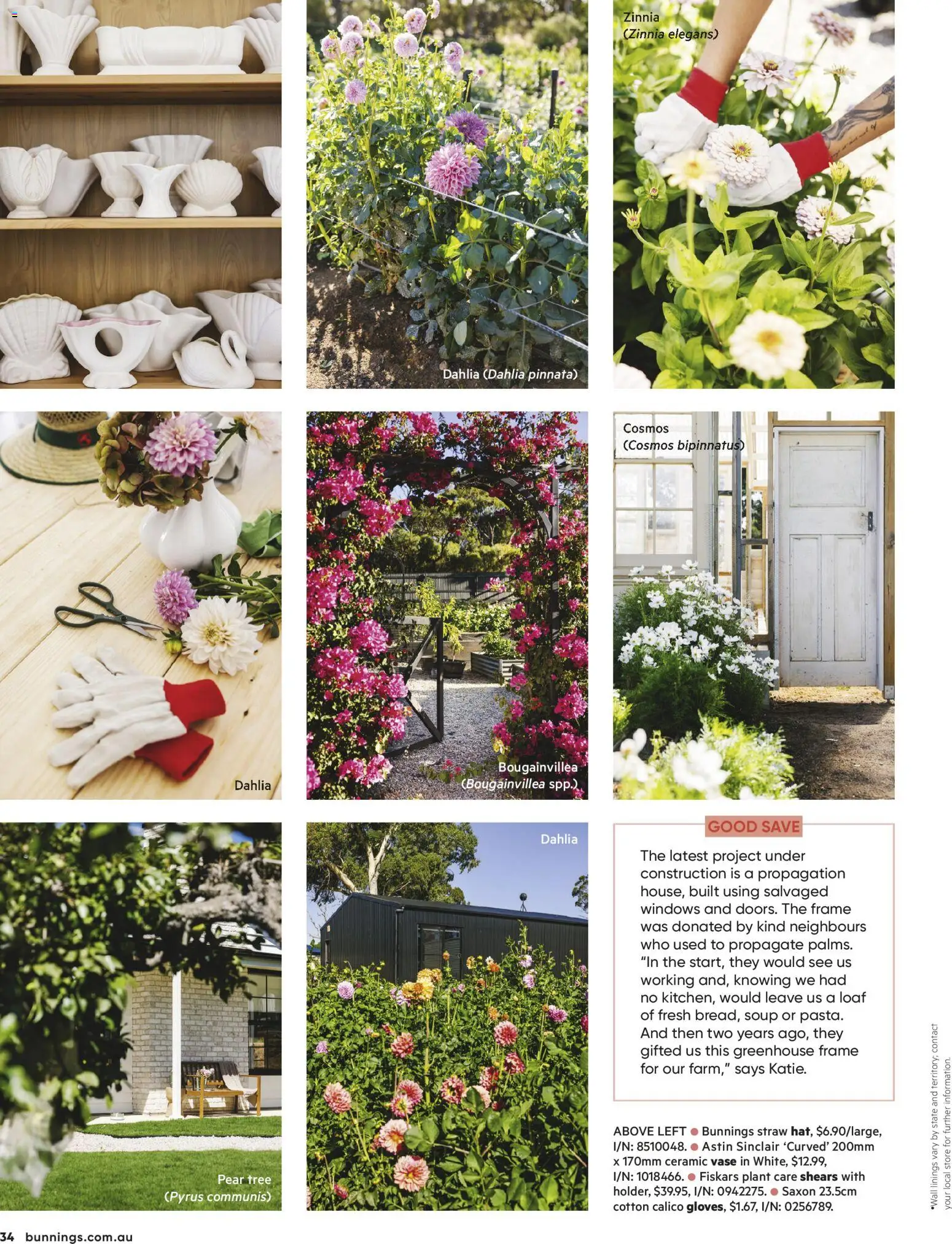 Bunnings Warehouse catalogue - valid from 01.05.2026 | Page: 34 | Products: Vase, Plant, Greenhouse, Soup