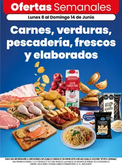 Vista previa Coto - Carnes, verduras, pescadería, frescos y elaborados válido desde el 08.06.2026