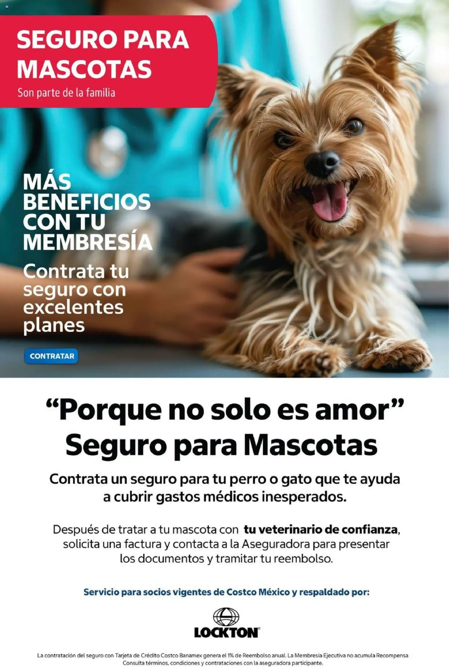 Nuevas ofertas de Costco válidas en toda la República Mexicana desde el 01/10/2026. ¡Encuentra las mejores ofertas en Costco catálogo Octubre! | Página: 120