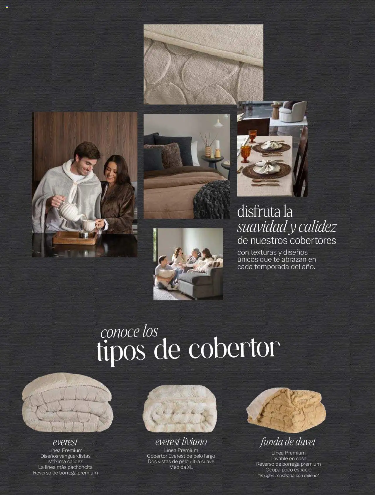 Nuevas ofertas de Vianney válidas en toda la República Mexicana desde el 15/08/2025. ¡Encuentra las mejores ofertas en Vianney - Catálogo Invierno! | Página: 2 | Productos: Cobertor, Funda, Té