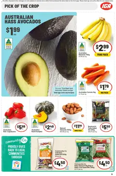 Preview of IGA catalogue - valid from 10.06.2026 | Page: 13