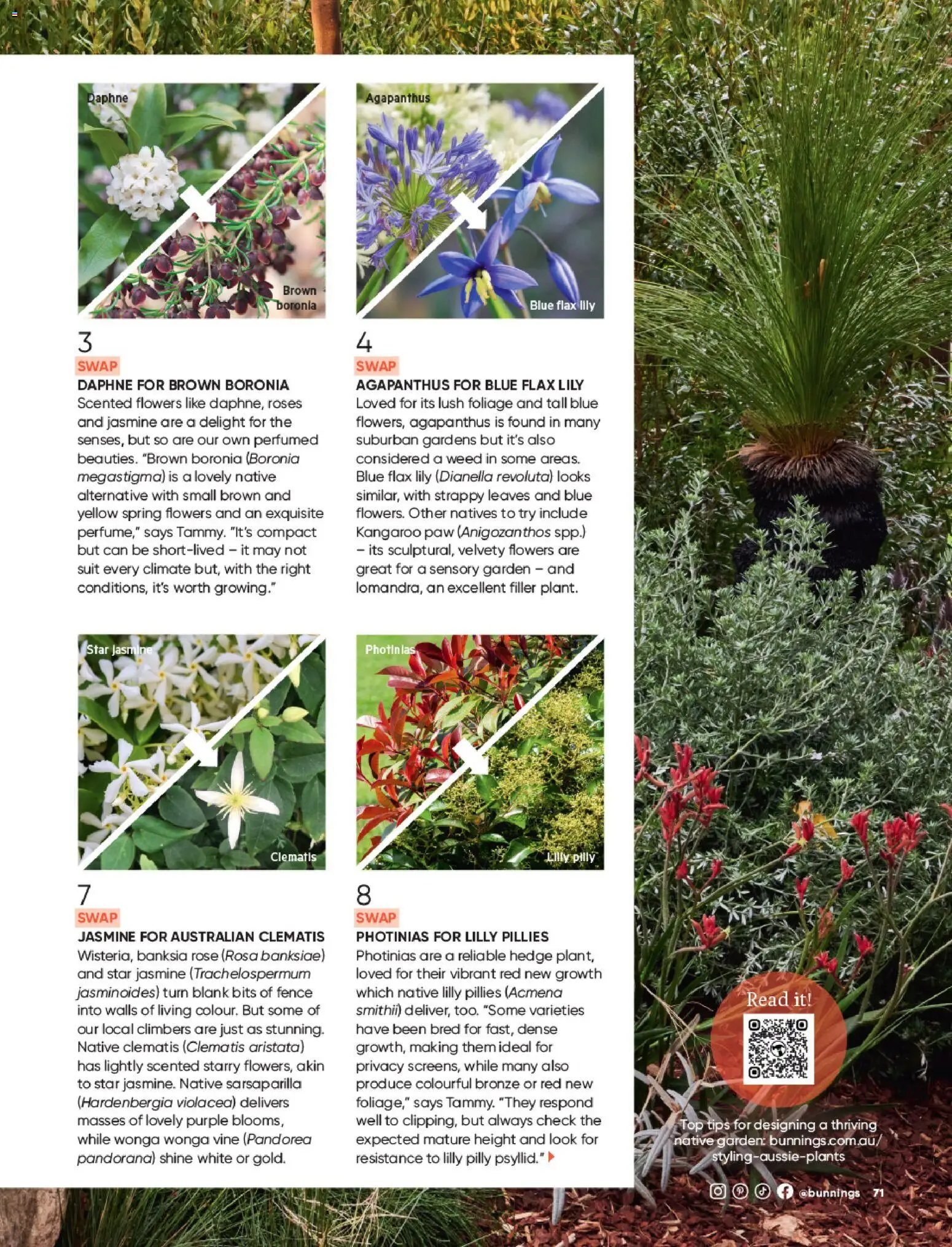 Bunnings Warehouse catalogue - valid from 01/11/2026 | Page: 71