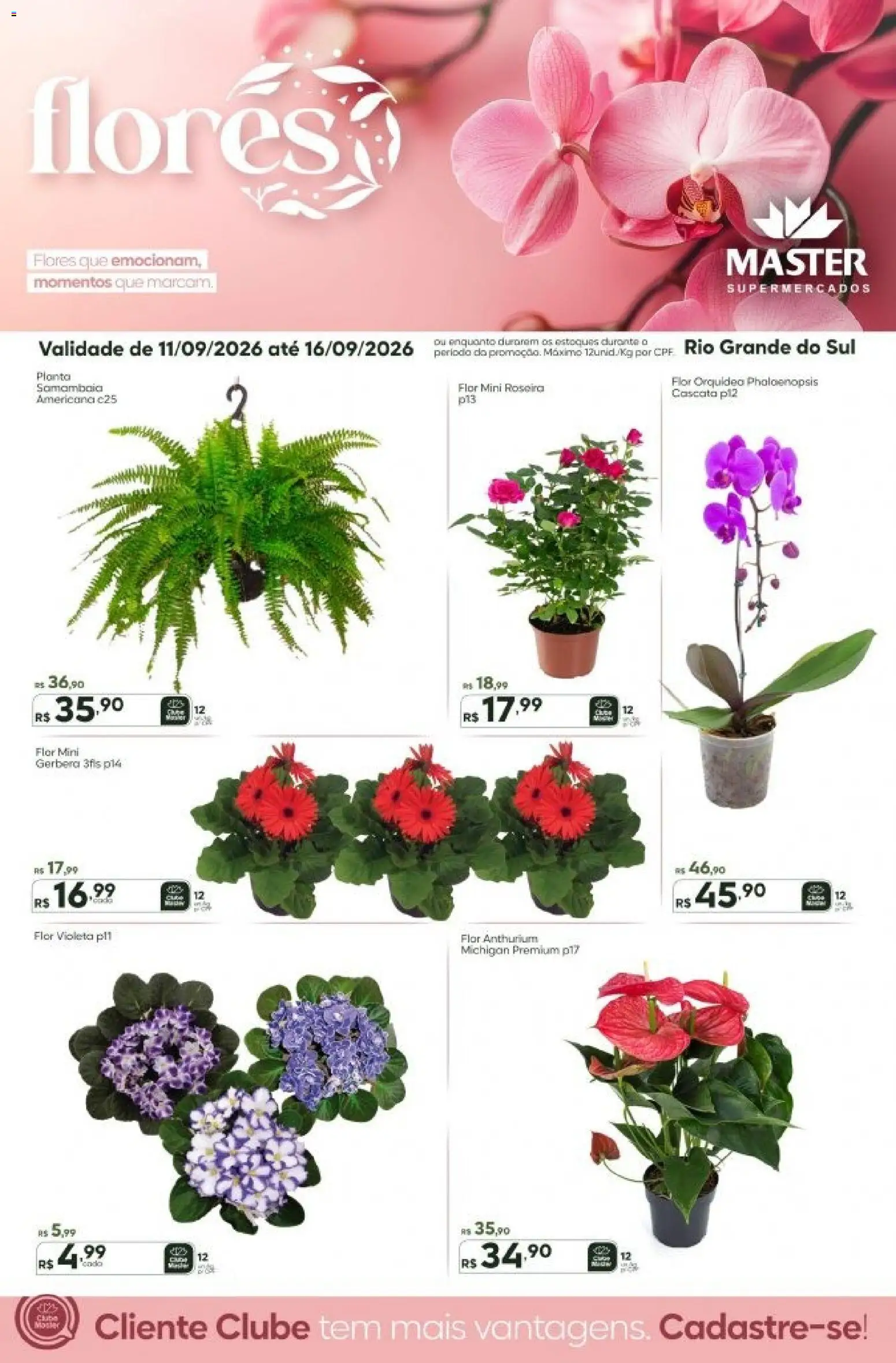 Master Folheto - válido de 11/09/2026 | Página: 1 | Produtos: Orquídea, Flores, Gerbera