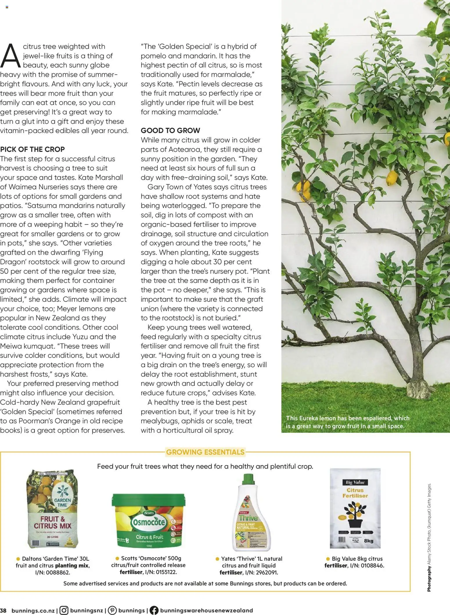 Bunnings Warehouse catalogue from 01.06.2026 | Page: 38