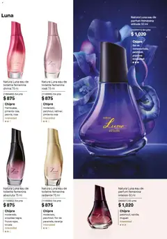 Vista previa de Natura campaña 13 2026, nuevo folleto de la tienda, válido en México a partir del 21/08/2026 | Página: 33 | Productos: Pimienta, Radiante, Orquídea, Eau de toilette