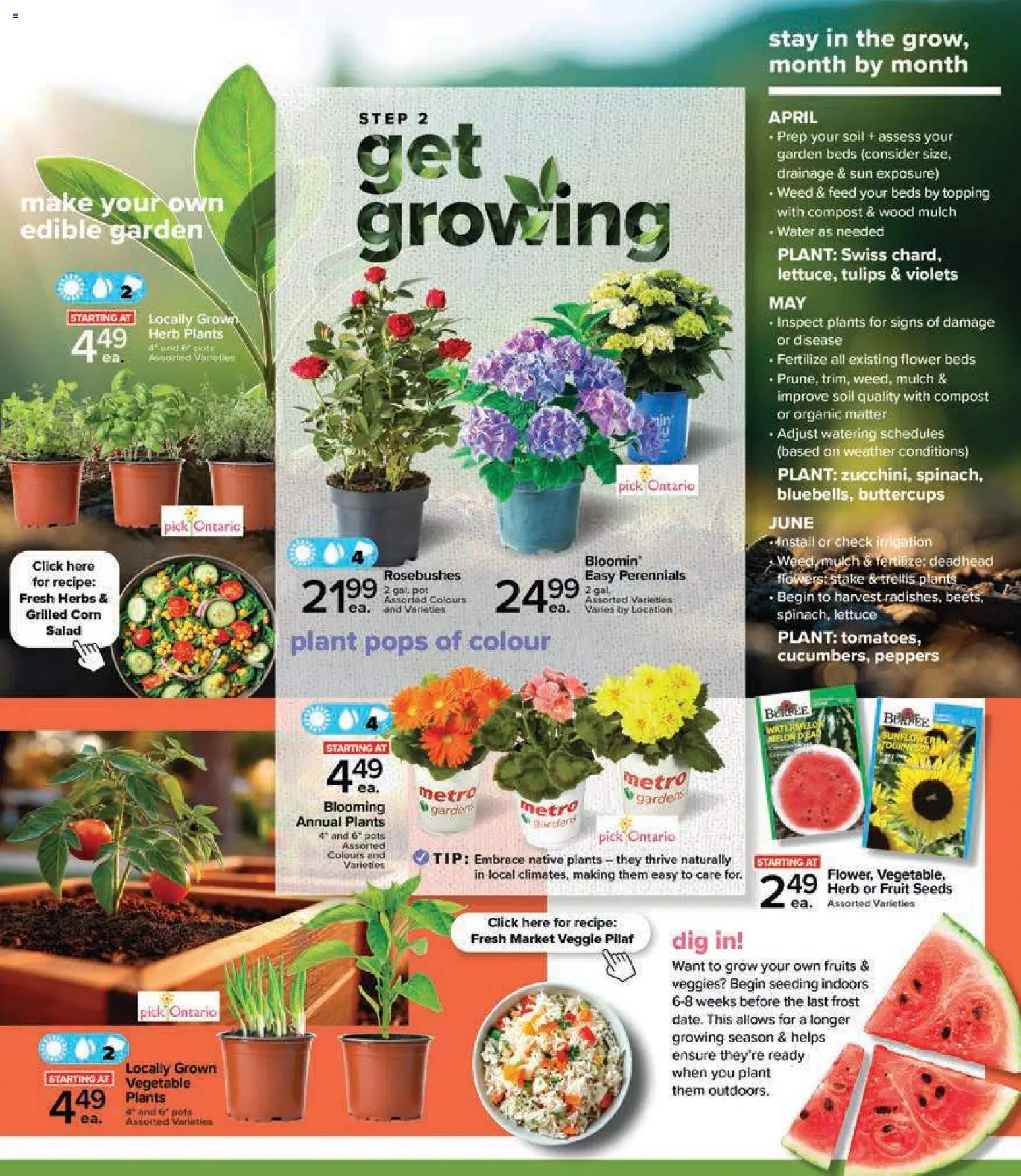 Metro flyer valid from 23.04.2026 | Page: 3 | Products: Salad
