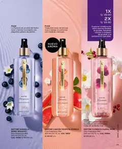 Vista previa de folleto L'Bel catálogo - Campaña 15 de la L'Bel válido desde 09/09/2026 | Página: 75 | Productos: Toronja, Mango, Narciso