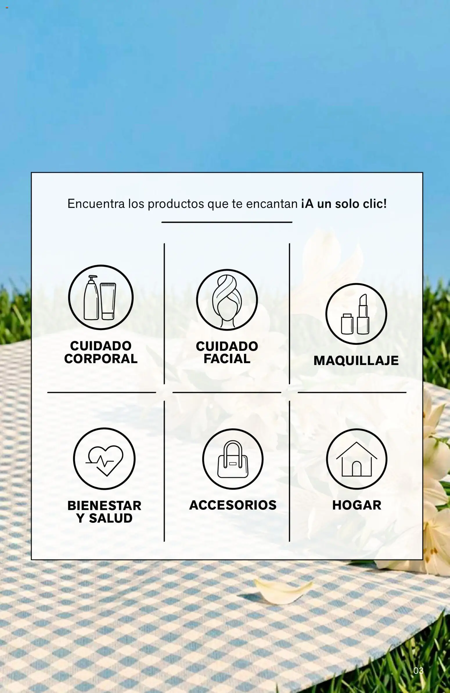 Catálogo Leonisa válido desde 24/08/2026 | Página: 3 | Productos: Té, Maquillaje