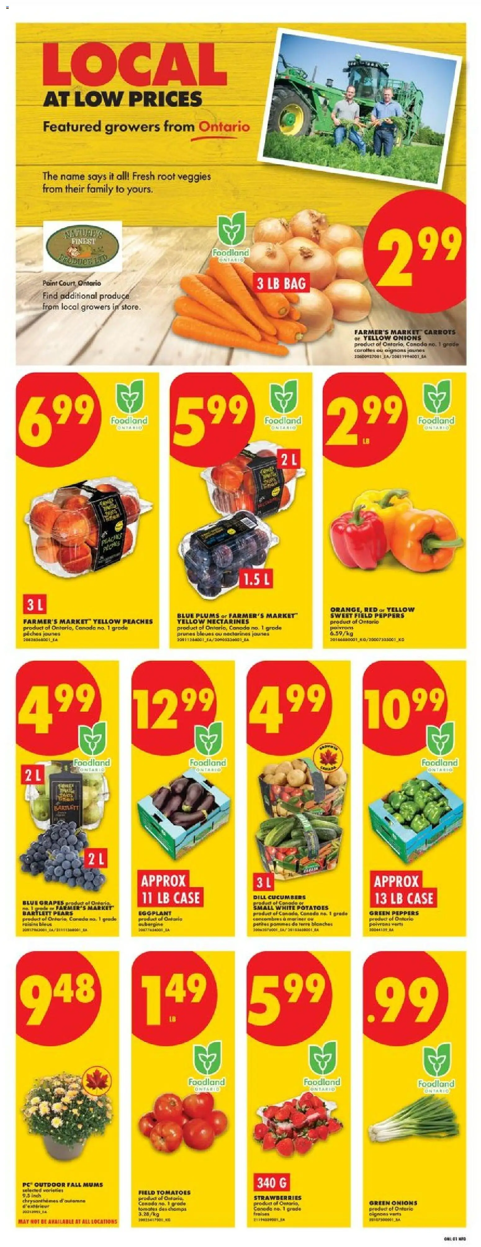 No Frills flyer valid from Aug 27, 2026 | Page: 3