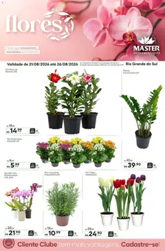 Master ofertas Flores - Pré-Visualização do folheto da loja Master, válido de 21/08/2026
