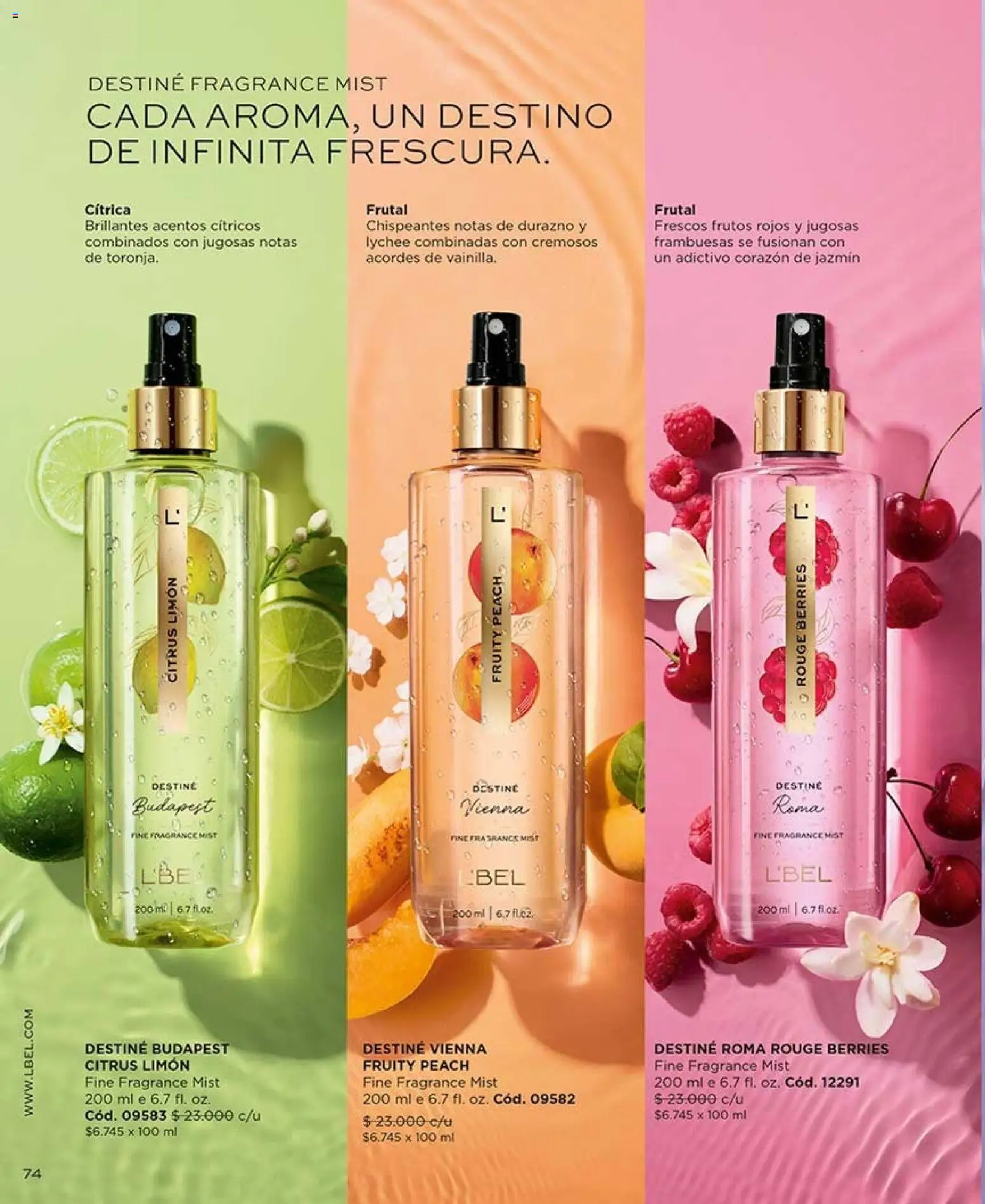 Catálogo L'Bel Campaña 15 │ válido desde el 06.09.2026 | Página: 74 | Productos: Limón, Frutos rojos, Frambuesas, Durazno