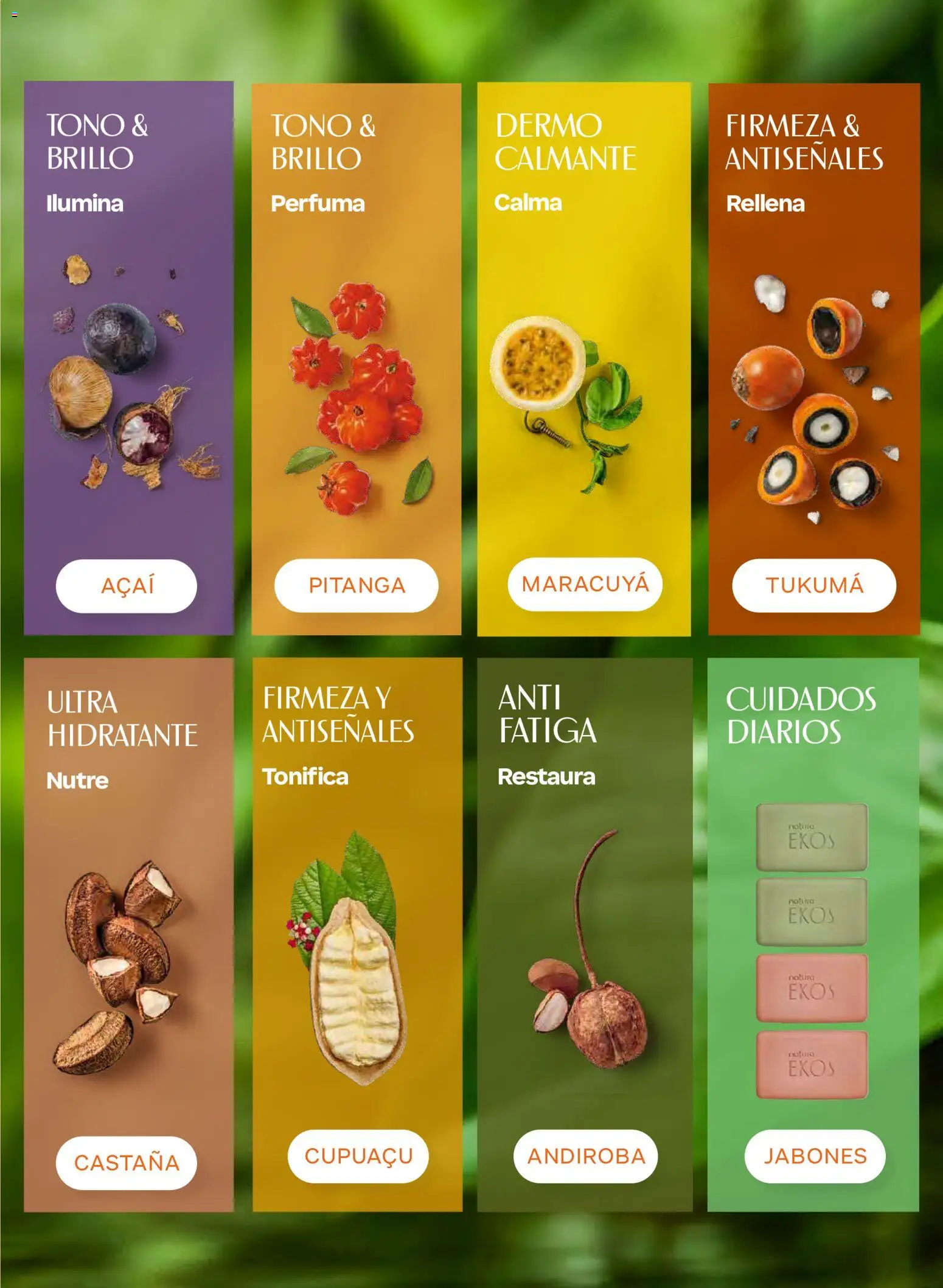 Nuevas ofertas de Natura válidas en toda la República Mexicana desde el 02/10/2026. ¡Encuentra las mejores ofertas en Natura campaña  15 2026! | Página: 109 | Productos: Brillo