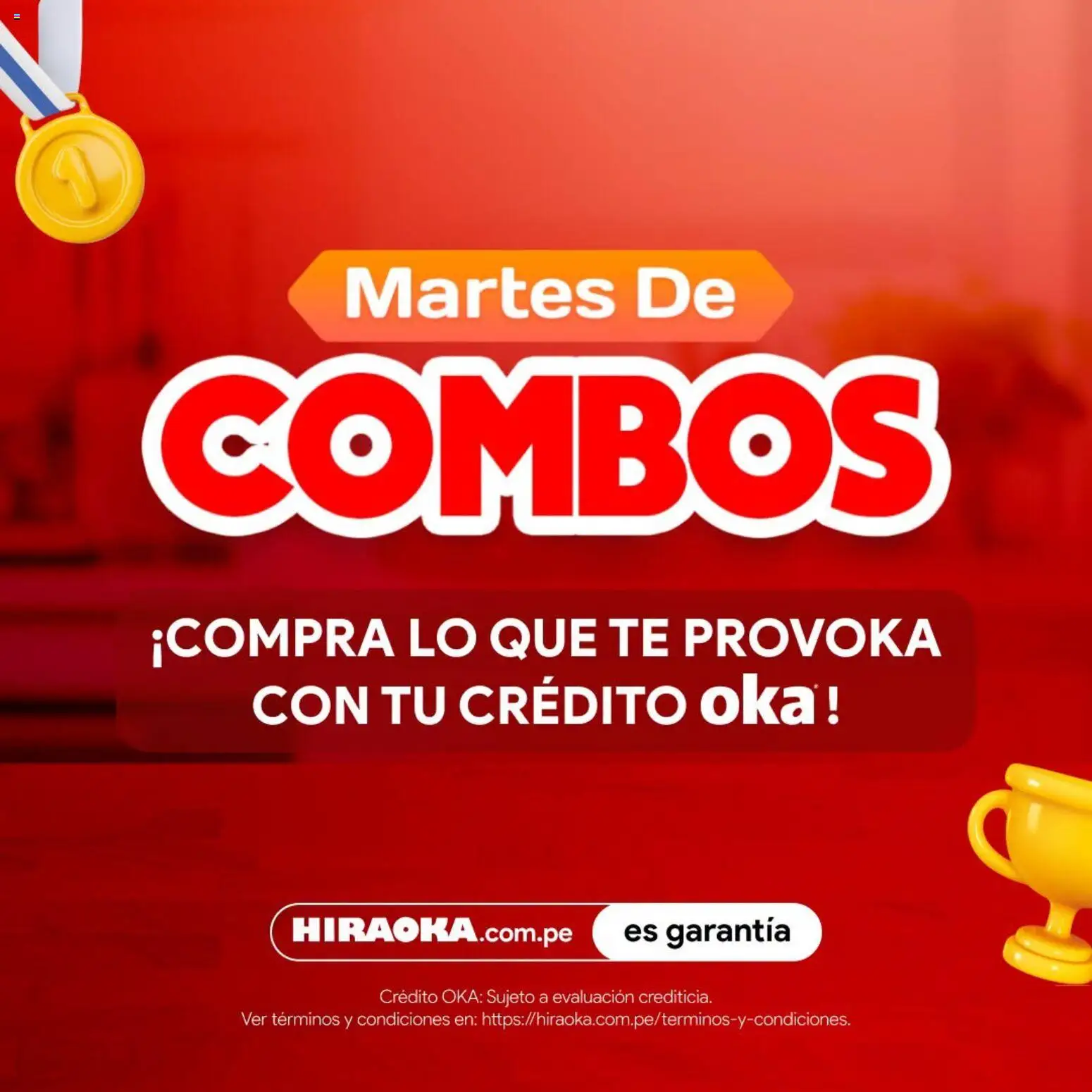 Catálogo Hiraoka válido desde 16.06.2026 | Página: 1 | Productos: Té