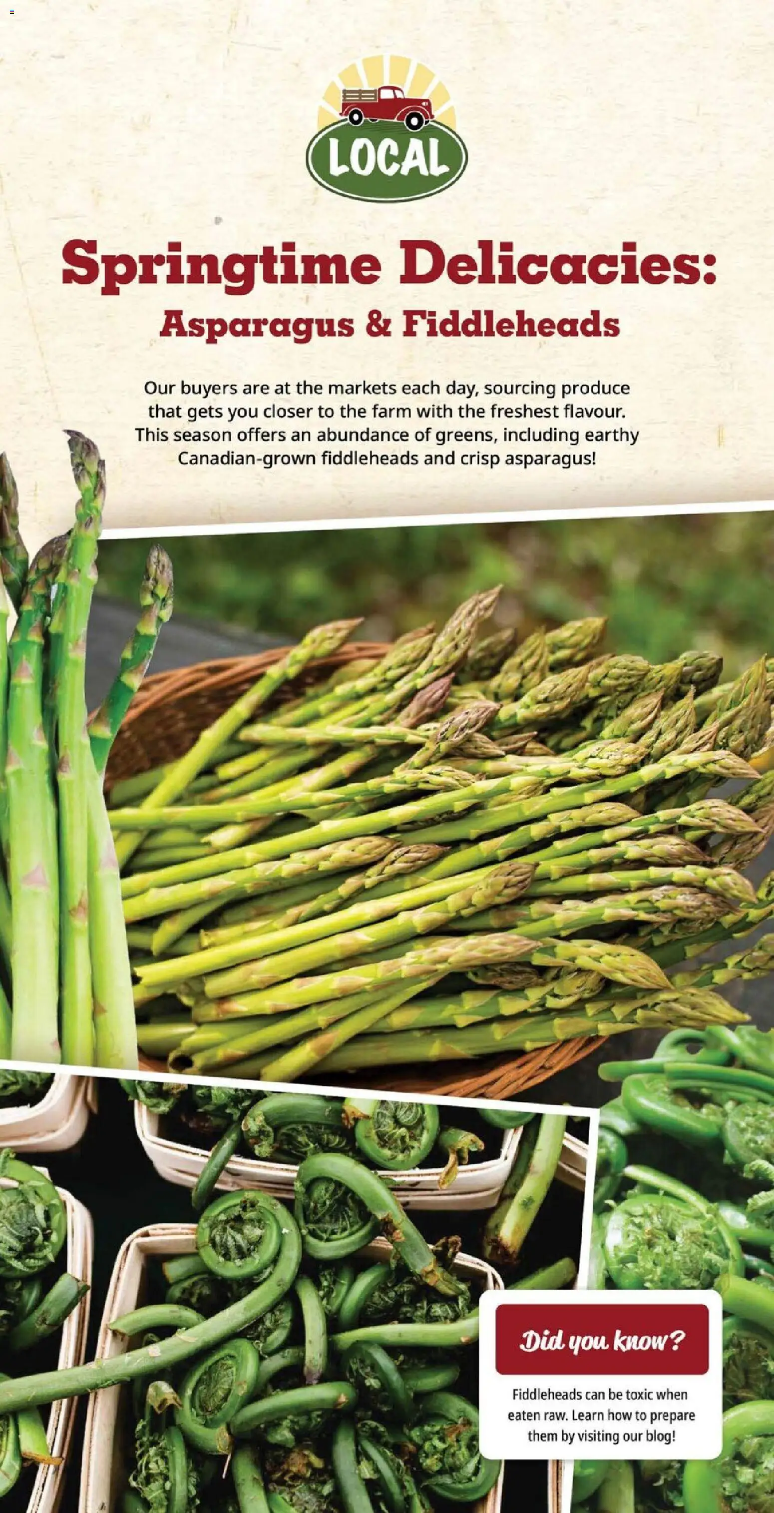 Farm Boy flyer valid from 14.05.2026 | Page: 6