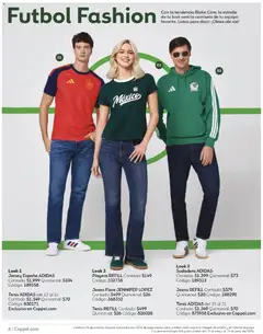 Vista previa de Coppel catálogo Ganamos, nuevo folleto de la tienda, válido en México a partir del 01.05.2026 | Página: 6