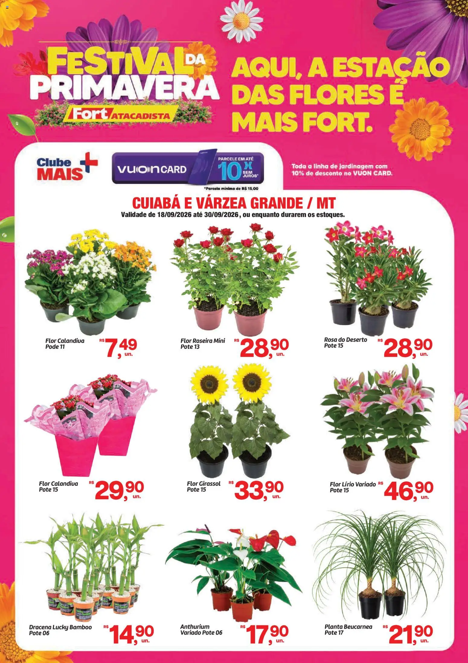 Fort Atacadista Folheto - válido de 18/09/2026 | Página: 1 | Produtos: Flores