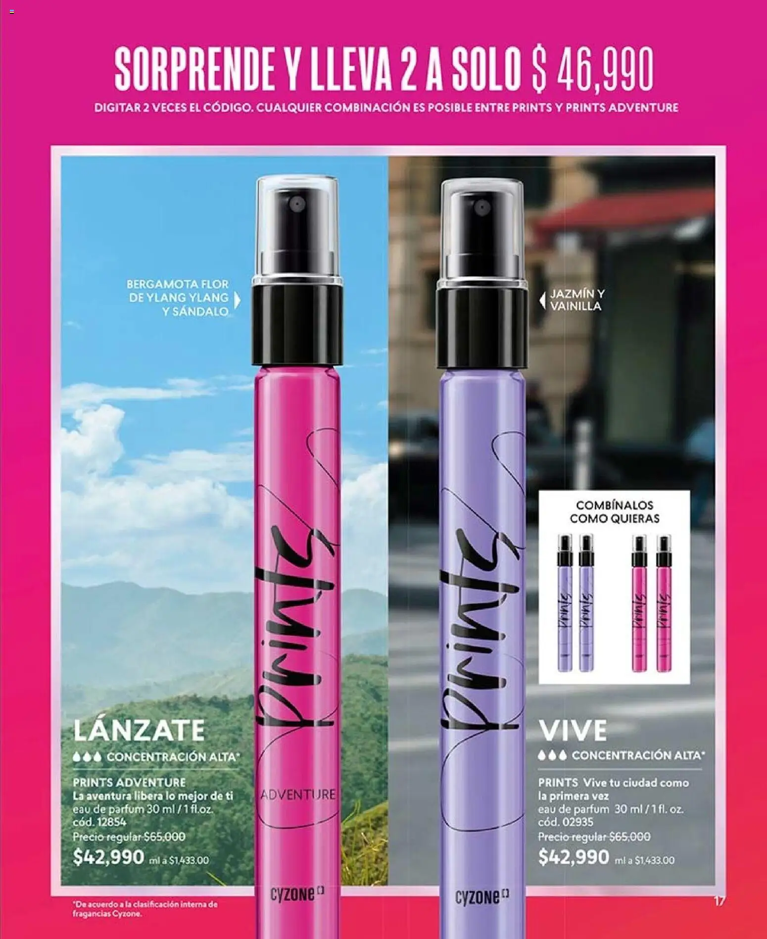 CyZone revista - valida desde el 10/08/2026 | Página: 17 | Productos: Vainilla, Combinación