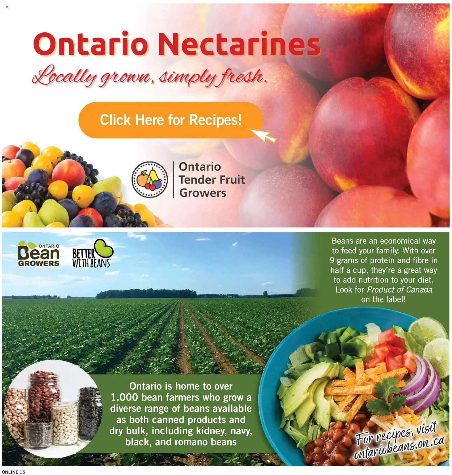 Fortinos flyer valid from Aug 20, 2026 | Page: 15