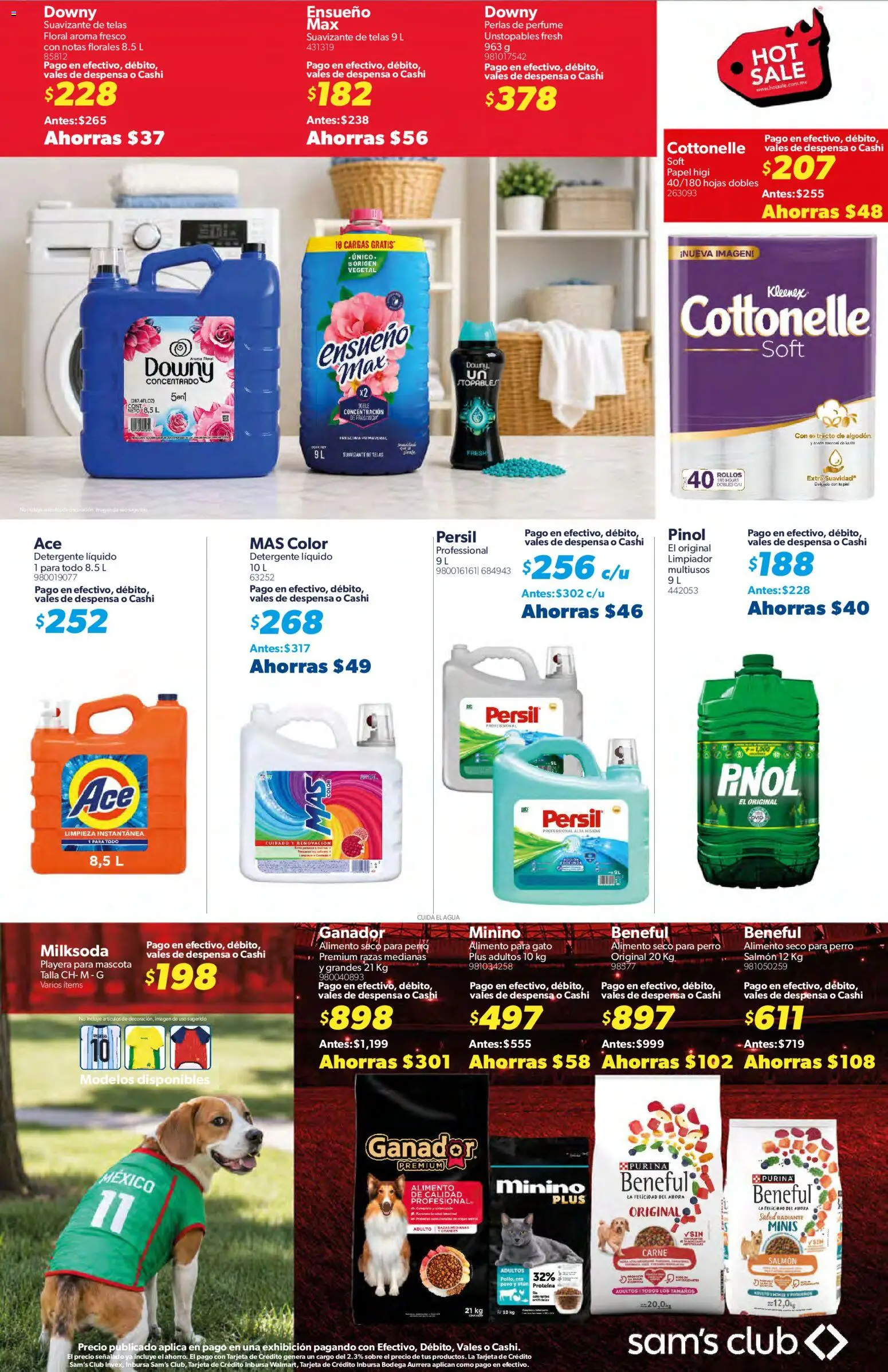 Nuevas ofertas de Sam's Club válidas en toda la República Mexicana desde el 25.05.2026. ¡Encuentra las mejores ofertas en Sam's Club Hot Sale! | Página: 30 | Productos: Radiante, Algodón, Despensa, Perfume