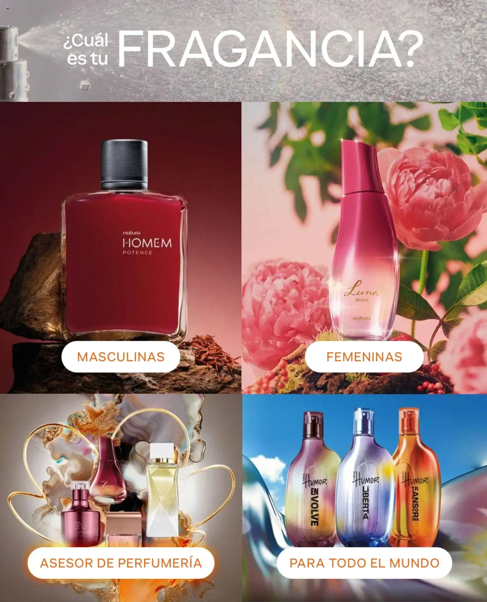 Natura Ofertas  │ válido desde el 01.05.2026 | Página: 51