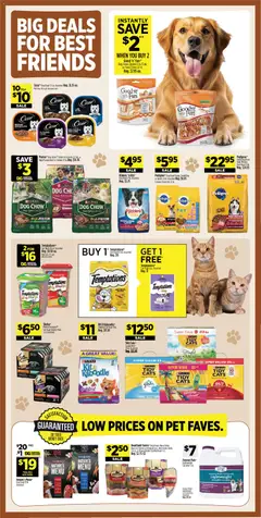 Preview of Dollar General weekly ads valid from 07/12/2026 | Page: 13