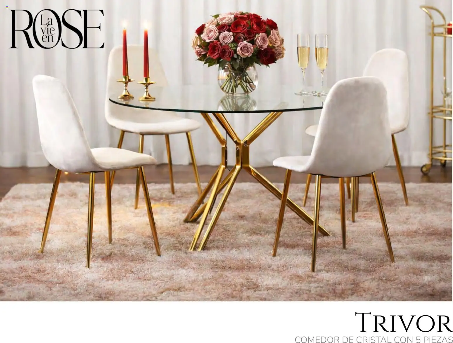 Nuevas ofertas de Muebles Dico válidas en toda la República Mexicana desde el 06/02/2026. ¡Encuentra las mejores ofertas en Muebles Dico catálogo La Vie en Rose 2026! | Página: 10