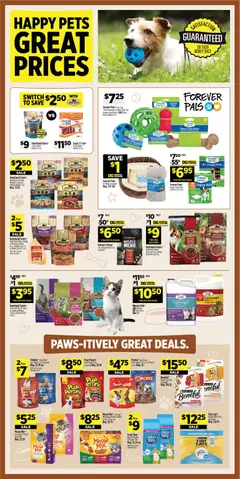Preview of Dollar General weekly ads valid from 08/02/2026 | Page: 13