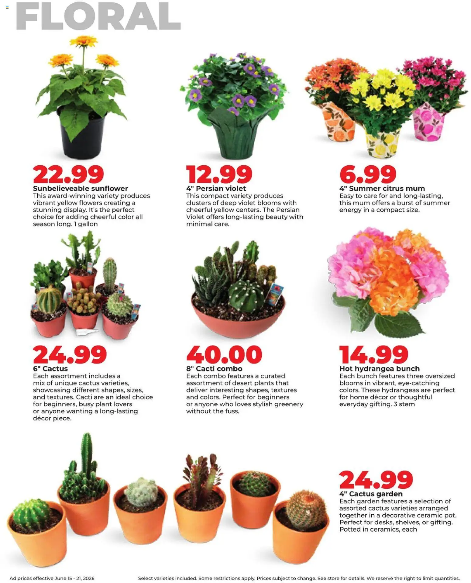 HyVee Weekly Ad - valid from 15.06.2026 | Page: 35