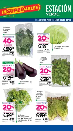 Vista previa La Anonima - Frescos válido desde el 17/09/2026 | Página: 7 | Productos: Berenjena, Lechuga, Espinaca