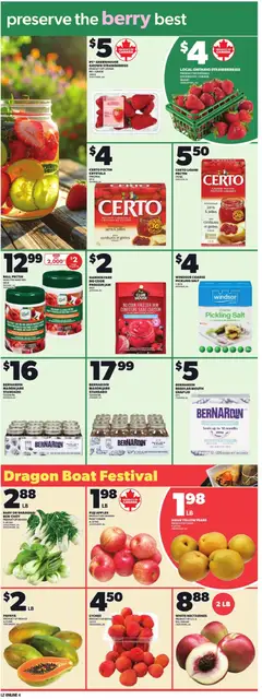 Preview of Loblaws weekly flyer / circulaire from shop Loblaws valid from 18.06.2026 | Page: 10 | Products: Freezer, Powder, Soap, Apples