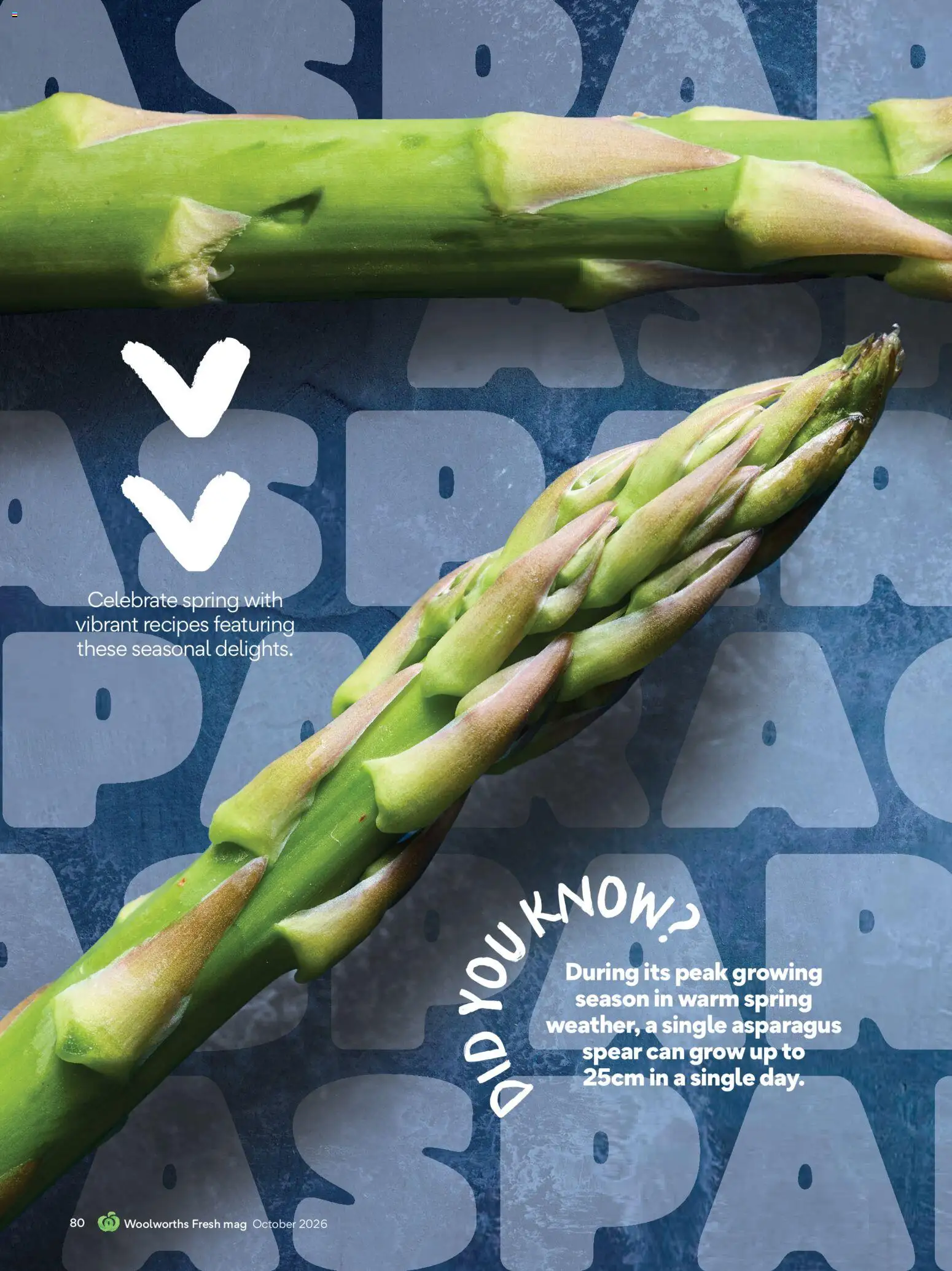 Woolworths catalogue - valid from 01/10/2026 | Page: 80