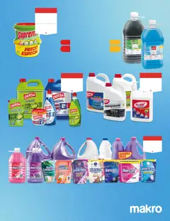 Makro catálogo -  Vista previa de la revista de la tienda Makro valido desde el 08.05.2026 | Página: 12