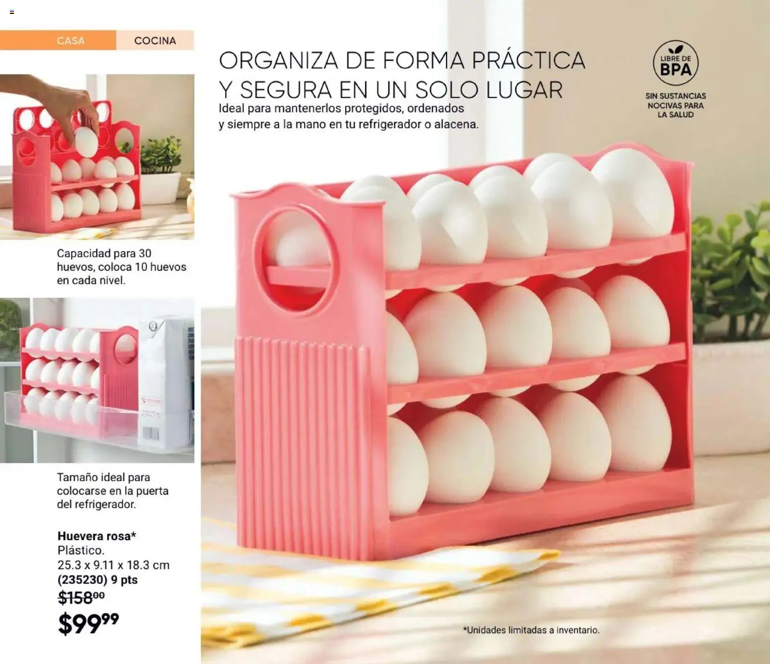 Nuevas ofertas de AVON válidas en toda la República Mexicana desde el 31/07/2026. ¡Encuentra las mejores ofertas en AVON Casa & Estilo 12 2026! | Página: 42 | Productos: Refrigerador, Huevos, Cocina