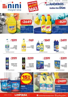 Vista previa NINI Mayorista ofertas válido desde el 01.06.2026 | Página: 10 | Productos: Mata moscas, Sal, Brillo, Estuche