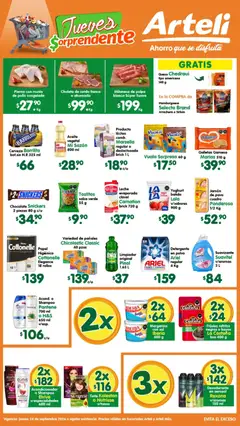 Vista previa de Arteli folleto, nuevo folleto de la tienda, válido en México a partir del 24/09/2026
