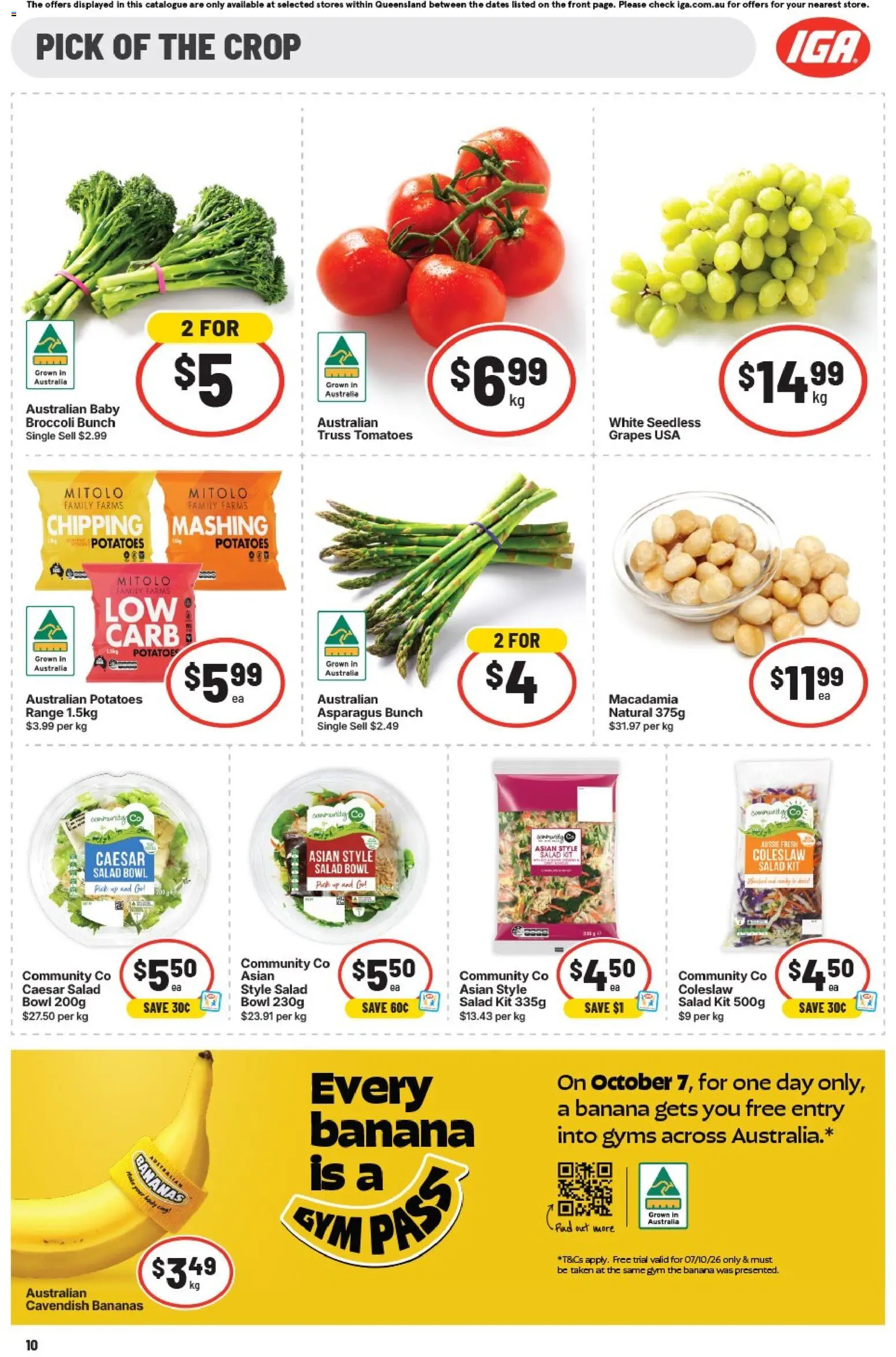 IGA catalogue - valid from 07/10/2026 | Page: 16