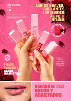 Vista previa de Ilusión catálogo Invierno, nuevo folleto de la tienda, válido en México a partir del 01/10/2026 | Página: 288 | Productos: Sandía, Bolsa, Aceite, Té