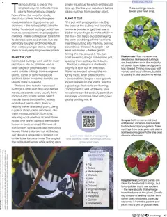 Preview of Bunnings Warehouse - Bunnings Magazine May/June 2026 - valid from 01.05.2026 | Page: 47