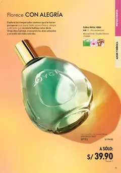 Vista previa de folleto Oriflame catálogo - Campaña 7 de la Oriflame válido desde 09.05.2026 | Página: 77 | Productos: Té, EAU de Toilette