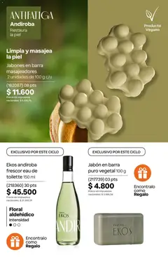 Vista previa Catálogo Natura Ciclo 7 válido desde el 06.05.2026 | Página: 187