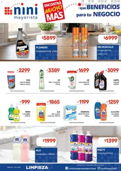 Vista previa NINI Mayorista ofertas válido desde el 01.06.2026 | Página: 11