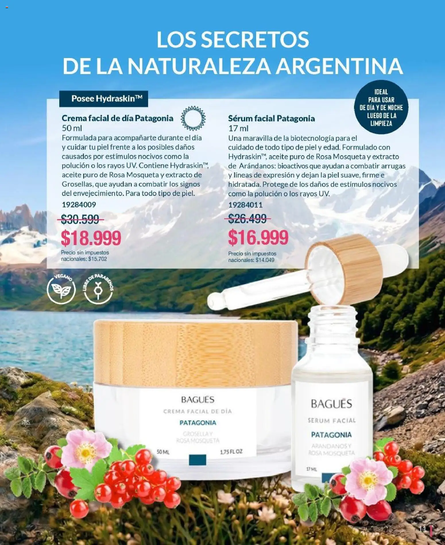 Bagués - Catálogo │ válido desde el 01.06.2026 | Página: 11 | Productos: Aceite, Serum, Arándanos, Crema
