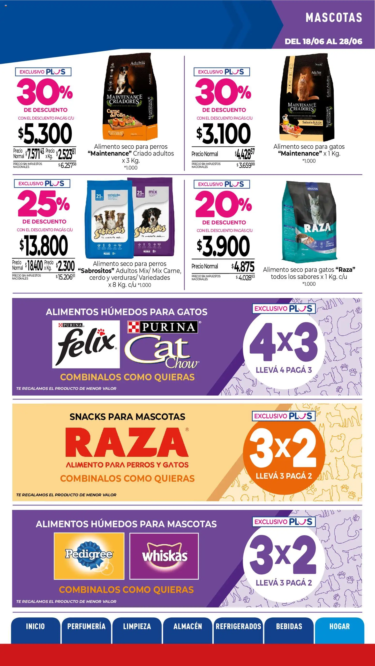 La Anonima catálogo │ válido desde el 18.06.2026 | Página: 35 | Productos: Cerdo, Té