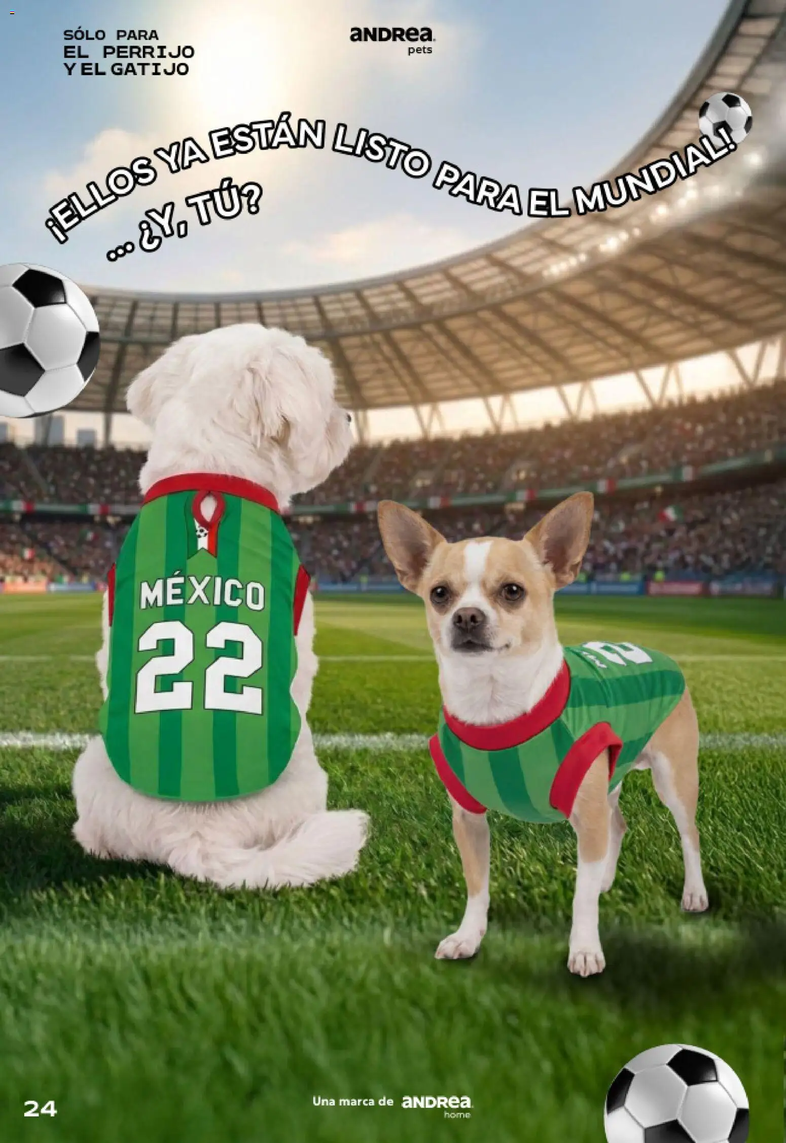 Nuevas ofertas de Andrea válidas en toda la República Mexicana desde el 24.05.2026. ¡Encuentra las mejores ofertas en Andrea catálogo Pets! | Página: 24