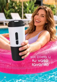 Vista previa Catálogo Amodil Campaña 17 válido desde el 01/10/2026 | Página: 106 | Productos: Pileta
