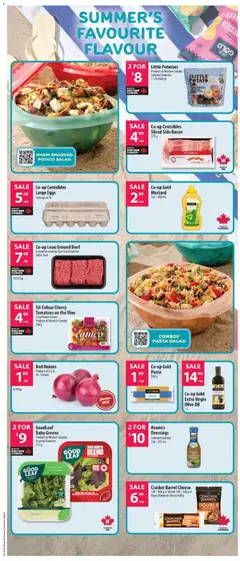 Preview of Little Potatoes, Selected Varieties 1.5 lb (680 g) from shop Co-op Food valid from 11.06.2026 | Page: 17