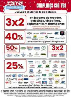Vista previa Coto - Salon Marcas A válido desde el 08/10/2026