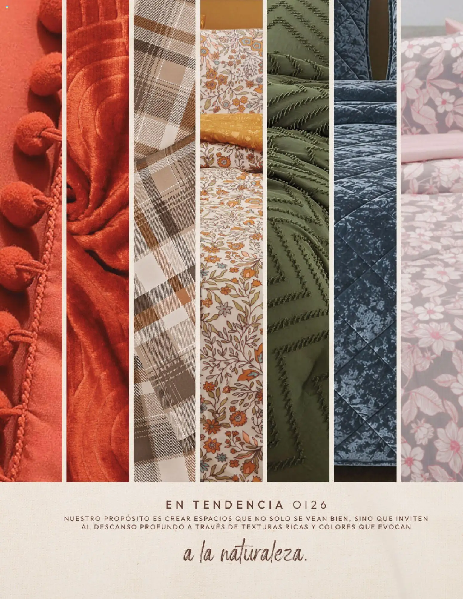 Nuevas ofertas de Andrea válidas en toda la República Mexicana desde el 01/09/2026. ¡Encuentra las mejores ofertas en Andrea catálogo Home! | Página: 3