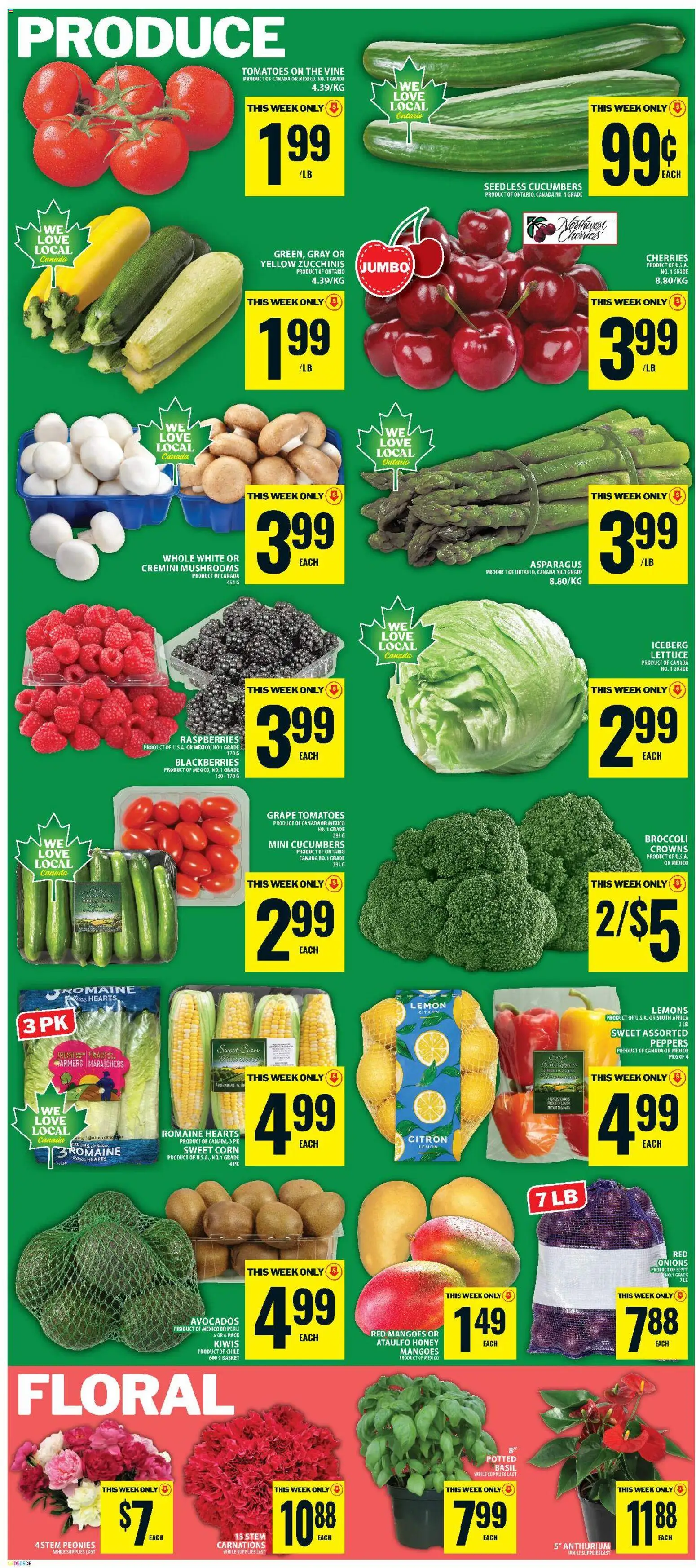 Food Basics flyer valid from Jun 25, 2026 | Page: 6
